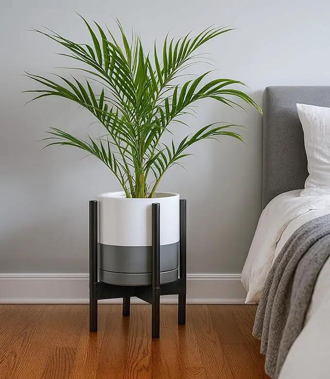 D'vine Dev Ceramic Planter with Ebony Stand - 10 Inch Modern Round Flower Pot with Wood Planter Holder, White/Grey, 55-B-L-6 by GreenHaven Gardens