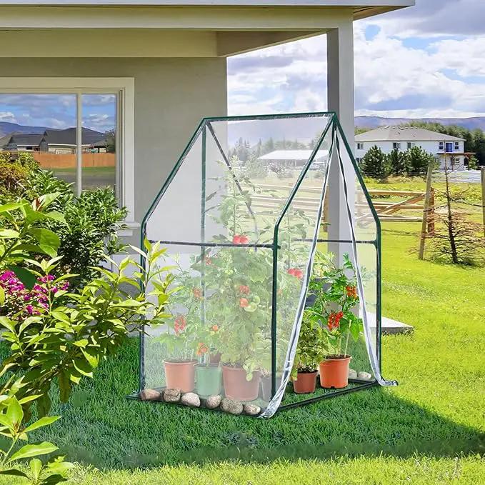 Mini Greenhouse for Indoor Outdoor: Ohuhu Portable Green House with Waterproof Pad for Small Plants Nursery Germination, 36"x36"x58.5" Heavy-Duty PVC Cover Tent Humidity Dome Seedling Accessory by GreenHaven Gardens