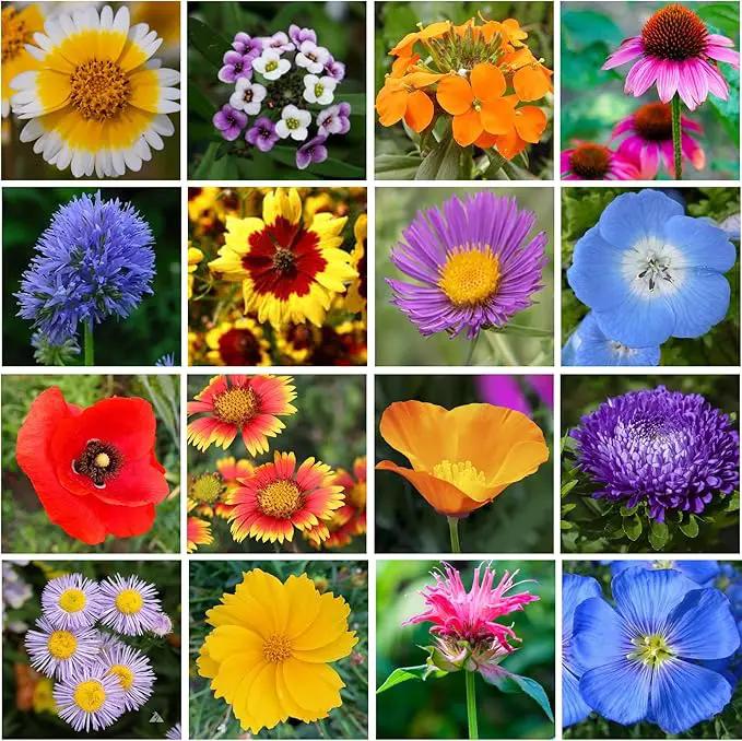 Mini Wildflower Seed Shaker - Save The Bees Seed Mix, by GevaGrow | 80,000+ Seeds | Pollinator & Bee Attracting Flower Seeds Bulk for Planting in Pots & Outdoor Gardens | 2 Ounce by GreenHaven Gardens