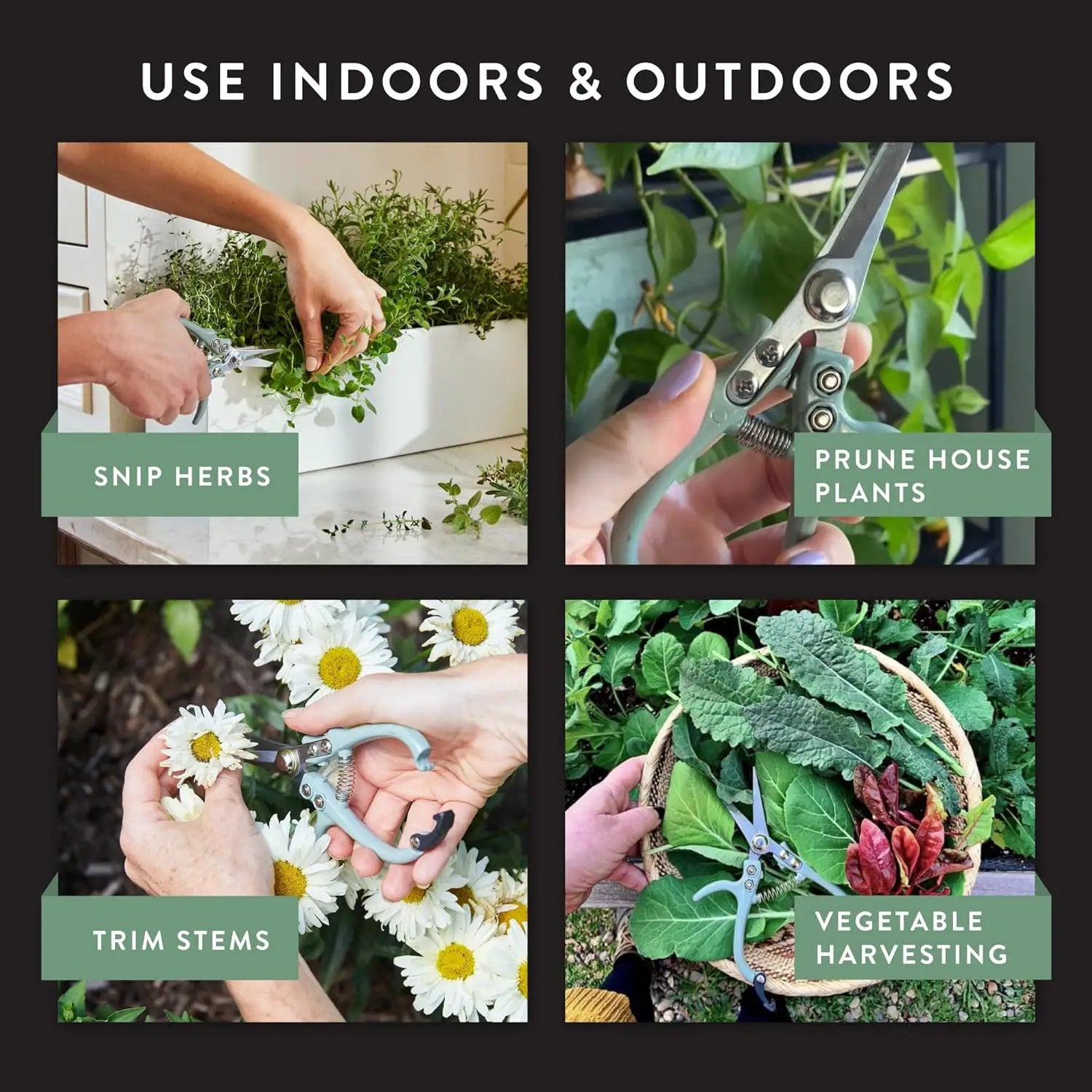 Modern Sprout Pruning Shears - Herb Snipping Scissors- Lightweight Gardening Tools W/Easy Lock - Flower Cutter Garden Shears - Carbon Steel Blade + Reusable Holster (Chartreuse, 1-Pack) by GreenHaven Gardens
