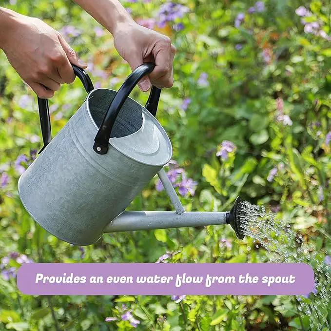 1 Gallon Watering Can for Plants, Watering Cans for Indoor&Outdoor Gardening, Galvanized Steel Watering Pot with Removable Spout, Metal Water Can with Ergonomic Movable Handle(Rustic Silver) by GreenHaven Gardens