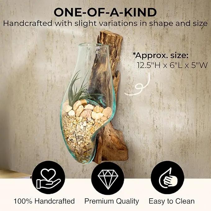 Cape Craftsmen Wall Mounted Molten Glass Hanging Terrarium on Driftwood, Indoor Wall Planter Vase on Wood, Propagation Station for Hydroponics Plants, Succulent Pot