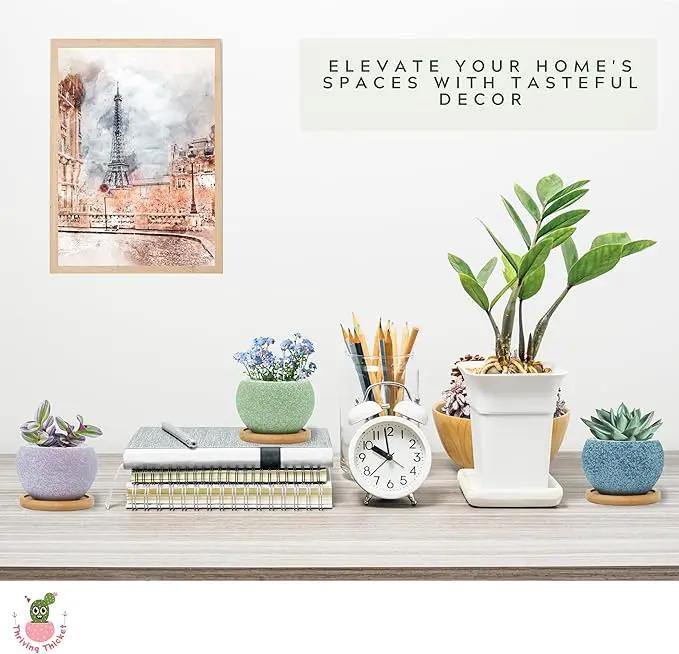 3 inch Ceramic pots for Plants, Small Succulent Pots Set with Drainage, 6 Pack Flower Pot for Indoor Plant, Decorative Planters for Little or Mini Cactus by GreenHaven Gardens