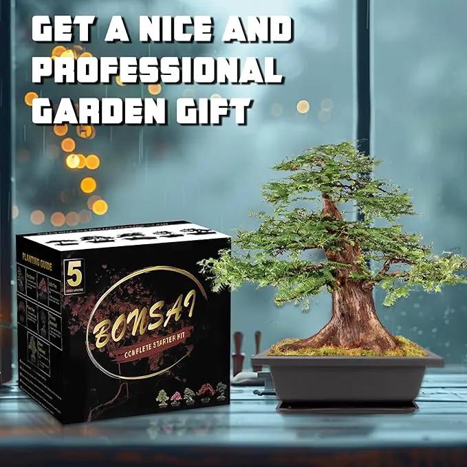 Bonsai Starter Kit, 5 Seeds Growing into Blue Spruce, Chinese Boxwood, Dawn Redwood, Flame Tree and Judas Tree, Including Complete Gardening Tools with A Gift Box, Christmas Gifts for Women by GreenHaven Gardens