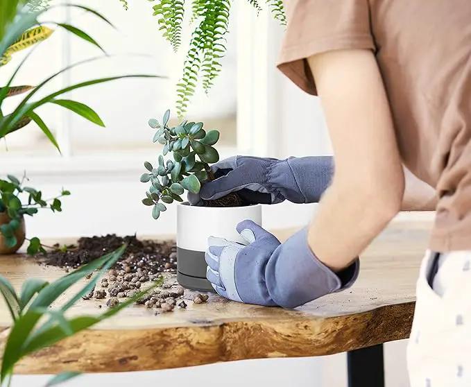 D'vine Dev Set of 2 Plants Pots, 4.6 Inch Ceramic Planter Pot for Plants with Drainage Hole and Saucer, White/Speckled Grey, 94-V-B-6 by GreenHaven Gardens