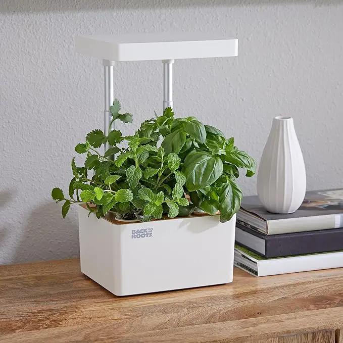 Back to the Roots New Hydroponic Grow Kit, LED Indoor Garden by GreenHaven Gardens