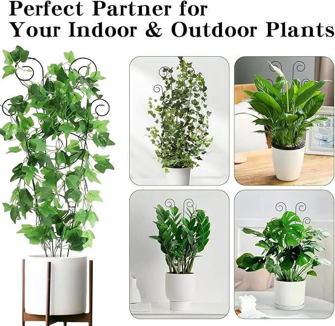 ZOUTOG Trellis for Climbing Plants Indoor 30 Inch, Houseplant Trellis for Potted Plants Metal 4Pcs for Vine Ivy Flower Support,Moon Shape,Black by GreenHaven Gardens