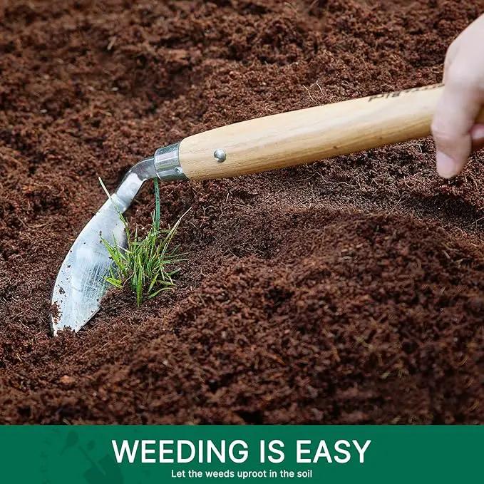 Berry&Bird Japanese Weeder-Scraper-Hoe, 12.67-Inch Gardening Sickle Hoe, Stainless Steel Bent Angle Weeding Sickle, Weeder Hoe with Ergonomic Ash Wood Handle for Weeding, Soil loosening, Digging by GreenHaven Gardens