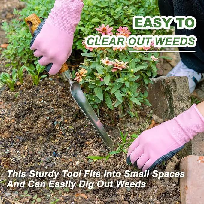 Haliaeetus Seeding Widger, Stainless Steel Garden Planting Trowel for Repotting, Long and Narrow Widger for Weeding from Tight Areas, Hand Transplanter with Wood Handle for Planting, Weeding, Digging by GreenHaven Gardens