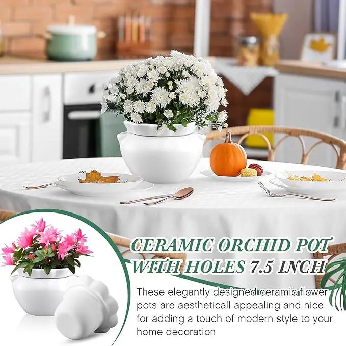 2 Set 7.5 Inches African Violet Pots Self Watering White Ceramic Pot for Indoor Plants, Flowerpot with Highly Absorbent Inner Pot for Busy Plant Lovers, Plant Care by GreenHaven Gardens