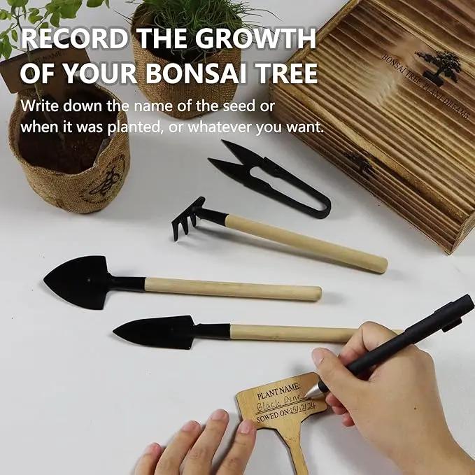 Bonsai Tree Kit – DIY Japanese Bonzai Trees with All-in-One Indoor Plant Growing Tools & Planters – Unique Gardening Gifts for Women, Men & Kids by GreenHaven Gardens