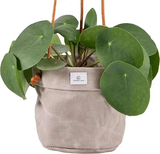 Large Waxed Canvas Handmade Hanging Planter for Indoor/Outdoor Plants, Hanging Basket Plant Holder Stone Gray by GreenHaven Gardens