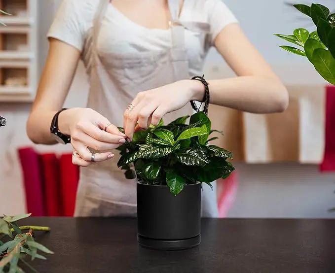 D'vine Dev Ceramic Planter Pot with Drainage Hole and Saucer, Indoor Cylinder Round Flower Pot, 4.6 Inch, Black, 94-O-B-2 by GreenHaven Gardens