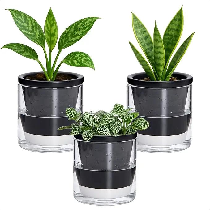 D'vine Dev 4 Inch Design Self Watering Planter for Indoor Plants, Black Terracotta Pot with Cylinder Glass Cup, Set of 3, 37-Z-A-3-T by GreenHaven Gardens