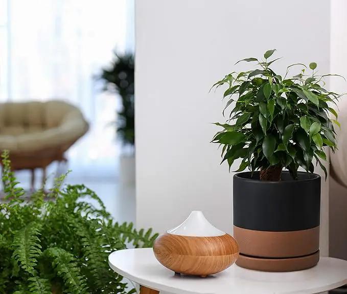 D'vine Dev 6 Inch Ceramic Planter Pot with Drainage Hole and Saucer, Indoor Cylinder Round Planter Pot, Black/Speckled Tan, 94-O-C-7 by GreenHaven Gardens