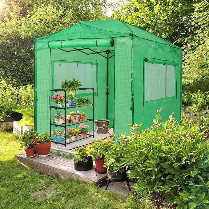 EAGLE PEAK 8x6 Portable Walk-in Greenhouse, Pop-up Indoor Outdoor Garden Green House, Zippered Doors and Windows, PE Cover, Green by GreenHaven Gardens