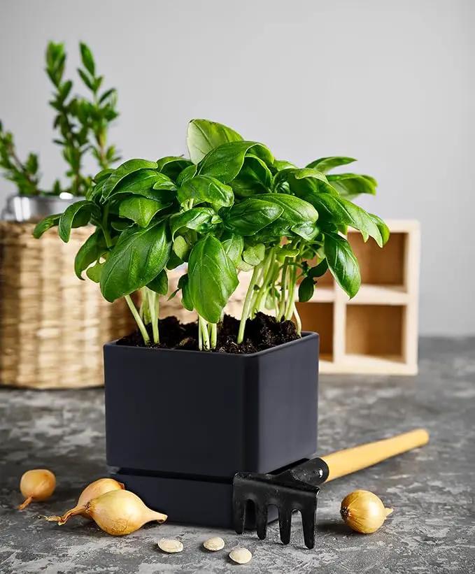 4 Inch Herb Planter Pot, Plastic Planter with Drainage Holes and Saucer, Modern Decorative Gardening Pot for Indoor Plants, Flowers, Herbs, Succulents, Black, Set of 2, 76-Y-B-2 by GreenHaven Gardens
