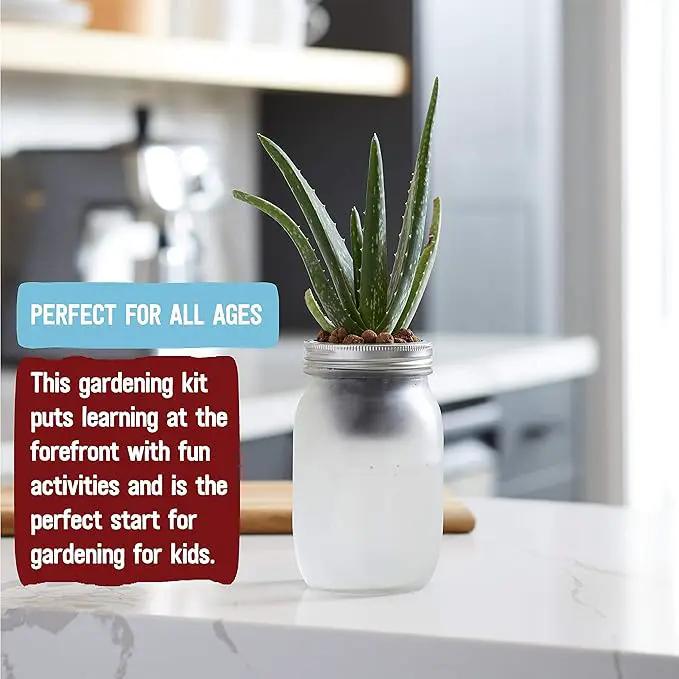 Back to the Roots Self Watering Grow Kit - Glass Hydroponic Planters for Succulents and Cacti Self-Watering System by GreenHaven Gardens