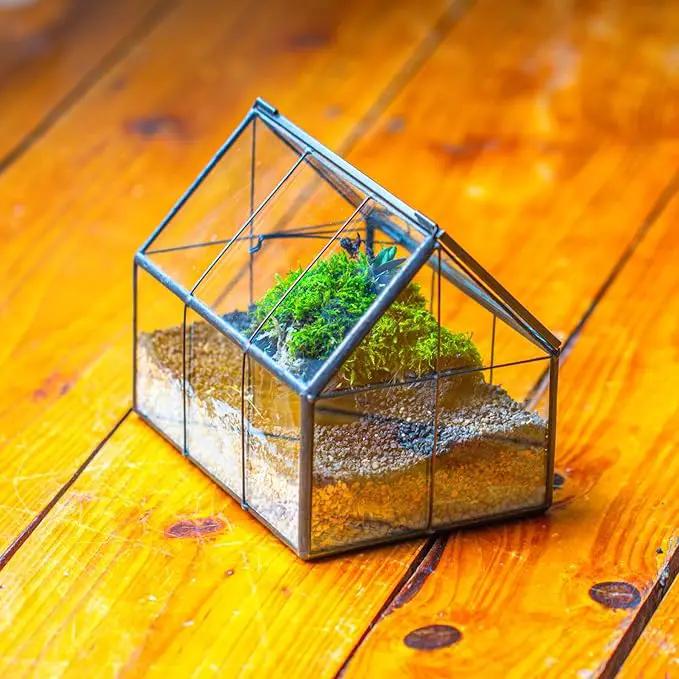 NCYP Mini Glass Terrarium with Lid - 6.1" x 4.25" x 4.92" House Shape Closed Planter Pot for Small Cactus, Succulents Plant - Home Garden Office Tabletop Geometric Decor, Black (Terrarium Only) by GreenHaven Gardens