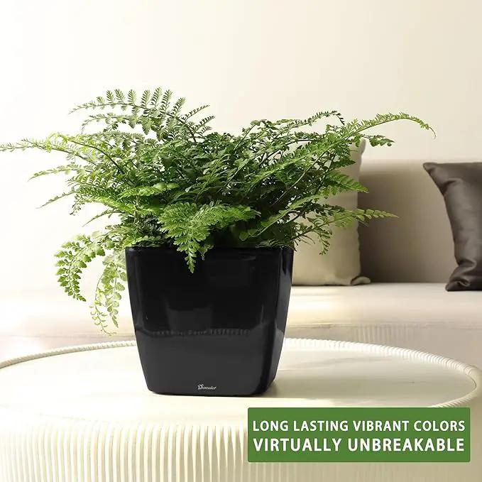 Dexceder 11x10 Self Watering Planter Indoor Outdoor, Inner Mat Design, Thickened Table Flower Plant Pot with Water Level Indicator (Black High Gloss) by GreenHaven Gardens