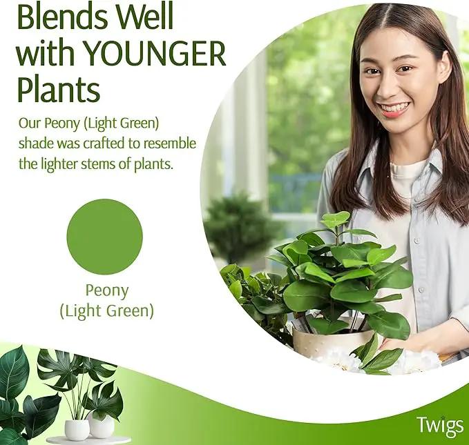Plant Support Stakes, Stem Holder Structures for Indoor & Outdoor Use, Garden Accessories for Climbing & Potted Plants, Trellis Alternative - Peony (Light Green), 10 Pack, 22" L, Original by GreenHaven Gardens