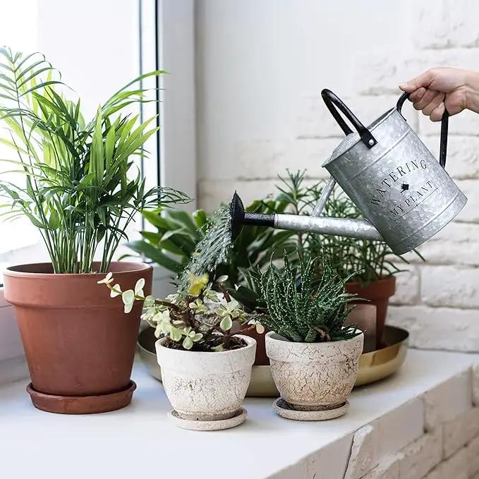 Galvanized Watering Can for Outdoor Indoor Plants, 1 Gallon Decorative Countryside Style Water Can with Removable Spout, Perfect Metal Watering Can for Indoor Plants and Garden Flower by GreenHaven Gardens