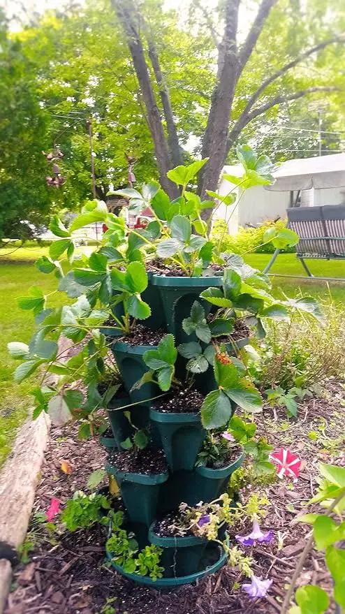 Mr. Stacky 1305-HG 5-Tier Stackable Strawberry, Herb, Flower, & Vegetable Planter - Vertical Gardening Indoor / Outdoor Stacking Garden Pots Hunter Green, 22.5 Quarts by GreenHaven Gardens