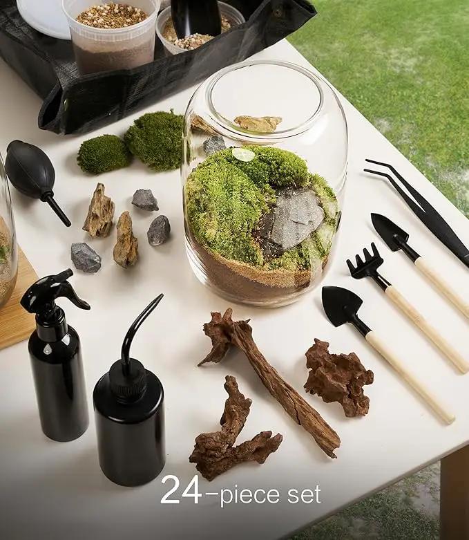 Terrarium Kit/Supplies Terrarium Plants Set with Grow Light, for Succulents Miniature Gardening, Include Terrarium jar Tool Set Live Moss Rocks Soil Driftwood and Decor, for Plant Lovers by GreenHaven Gardens