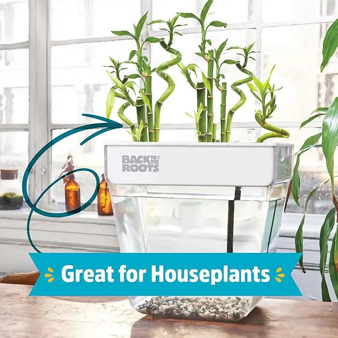 Back to the Roots Indoor Aquaponic Garden - 3 Gallon Self Watering, Mess-Free Planter and Self-Cleaning Fishtank for Herbs, Microgreens, Bamboo, Succulents, and Houseplants, support Fish by GreenHaven Gardens