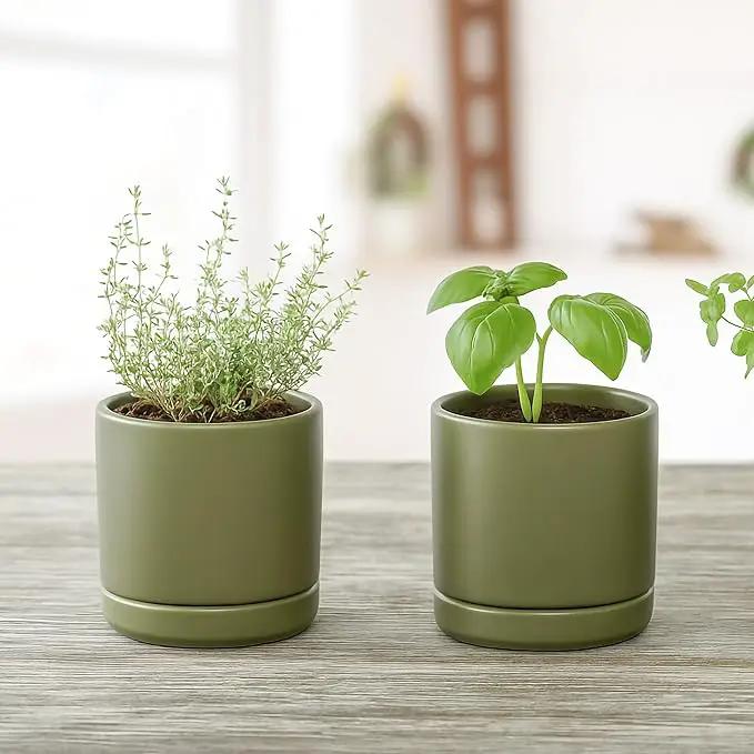 D'vine Dev 3.5 Inch Ceramic Planter Pot with Drainage Hole and Saucer, Indoor Cylinder Round Planter Pot, Olive, 94-O-A-J by GreenHaven Gardens