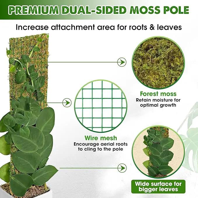 DUSPRO Flat Mesh Moss Poles for Climbing Plants Monstera Stackable Moss Pole for Plants with Real Moss Moss Plant Pole for Potted Plants Handmade Moss Stick for Indoor Plants Grow Upward 2 Pack 22” by GreenHaven Gardens