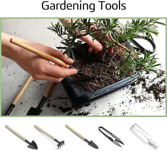 Bonsai Garden Starter Kit, 4 Seeds Growing into Sakura, Ginkgo, Black Pine, Red Flame, Including Complete Gardening Tools & A Wooden Box with Cover, Christmas Gifts for Men Women Beginners by GreenHaven Gardens