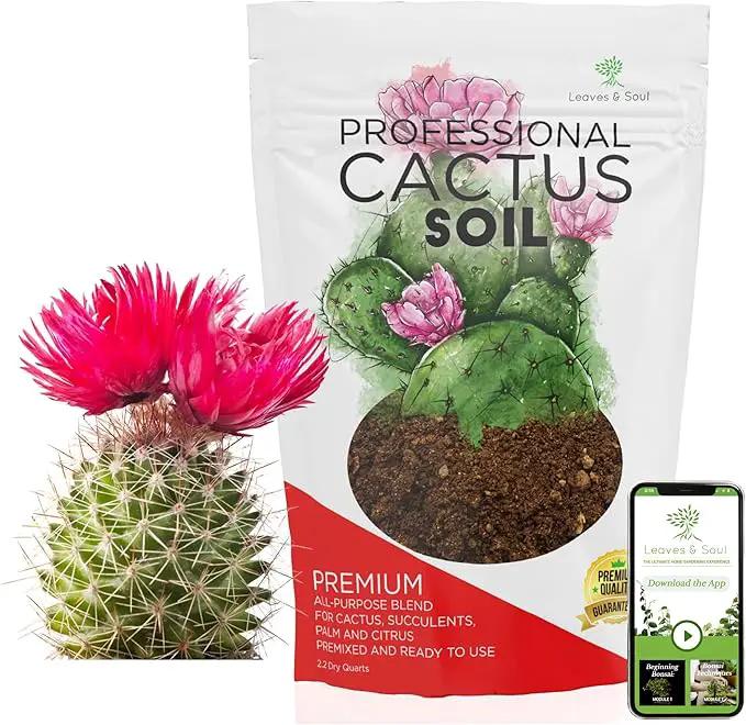 Professional Cactus Soil | Large 2.2 Quarts Ready to Use for Cactus Plants | Peat Moss, Coco Coir, Perlite, Dolomite | Made in USA by GreenHaven Gardens