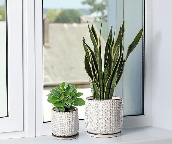 D'vine Dev 8 Inch 6 Inch Ceramic Indoor Planter Pots with Drainage Hole and Saucer, Beaded Design Flower Pots, Set of 2, Smoked White, 27-D-P-1 by GreenHaven Gardens