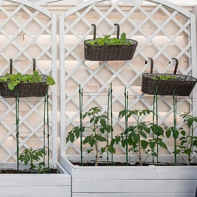 Gardzen Multi-use Tomato Cage Plants Support, Trellis Climbing Cage Stand for Pepper Eggplant Tomato Flowers by GreenHaven Gardens