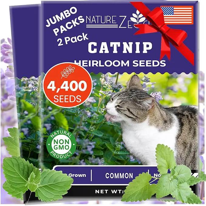NatureZ Edge Catnip Seeds for Planting, 2.6 Grams, 4400+ Herb Seeds, Indoor or Outdoor Growing, Your Cat Will Love Them, Non-GMO by GreenHaven Gardens