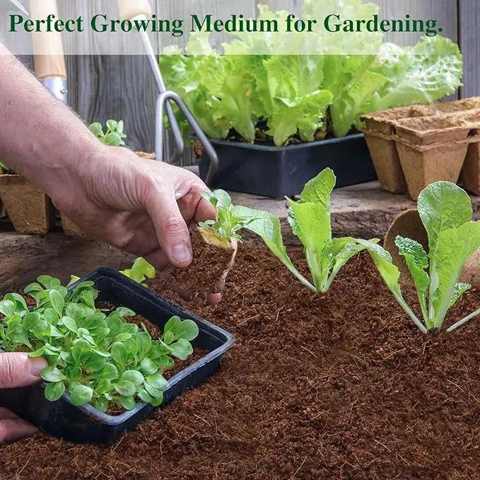 ZeeDix 10 Pack Premium Coco Coir Brick, Organic Compressed Coconut Coir Bricks Seed Starter Potting Soil for Plants, Coconut Fiber Substrate with Low EC & pH Balance for Gardening Flower Herbs by GreenHaven Gardens