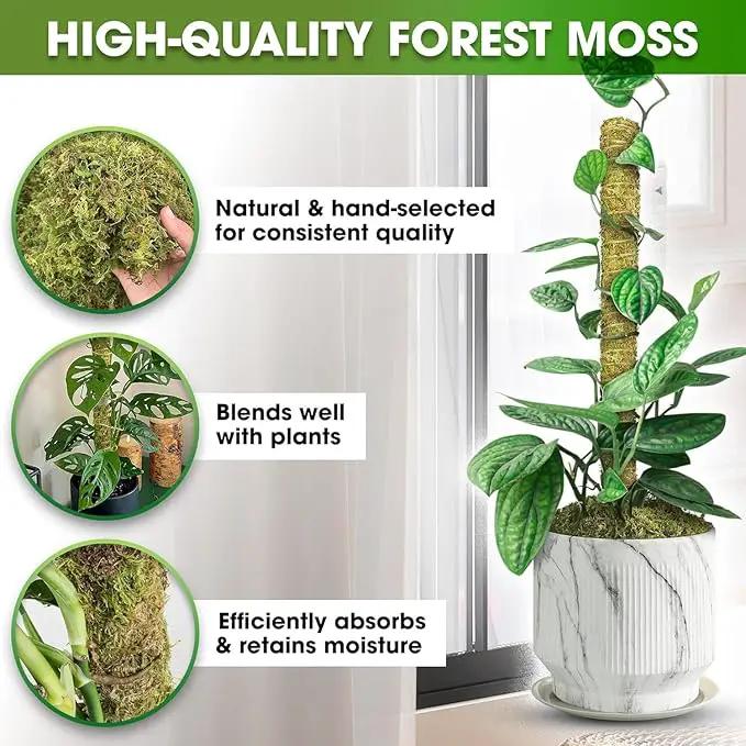 DUSPRO Natural Stackable Moss Pole for Plants Monstera Potted Plant Stakes for Indoor Plants Extendable Plant Pole Moss Sticks for Plants Climbing Vine Supporting Monstera Trellis 10Pcs 22'' by GreenHaven Gardens