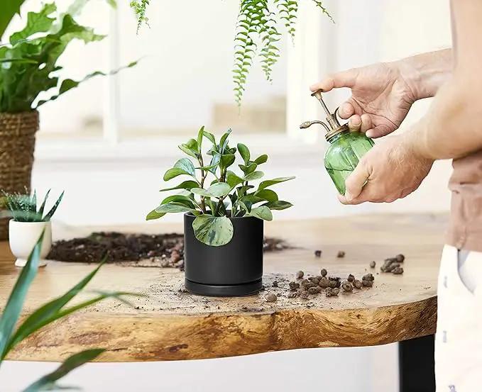 D'vine Dev Ceramic Planter Pot with Drainage Hole and Saucer, Indoor Cylinder Round Flower Pot, 4.6 Inch, Black, 94-O-B-2 by GreenHaven Gardens