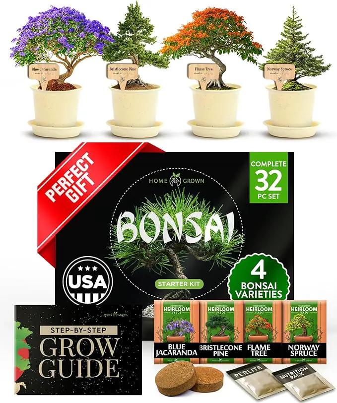 HOME GROWN Bonsai Tree Kit, Grow Your Own: Premium 4 Bonsai Trees Starter Kit | Unique Japanese Gardening Gift for Moms, Women, Men, Beginners & Gardeners | Creative Crafts for Adults BK1-2nd-MF by GreenHaven Gardens