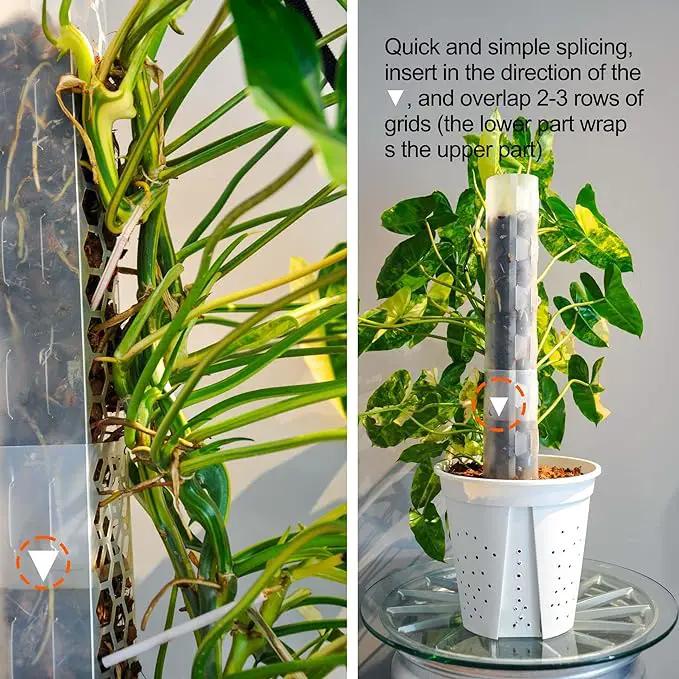 Plastic Moss Pole 4 Pcs Plant Stakes Extending to 62 Inch for Training Indoor Climbing Plants Such as Monstera to Grow Upwards-Use Plant Support Poles Work with Sphagnum Moss or Other soils by GreenHaven Gardens