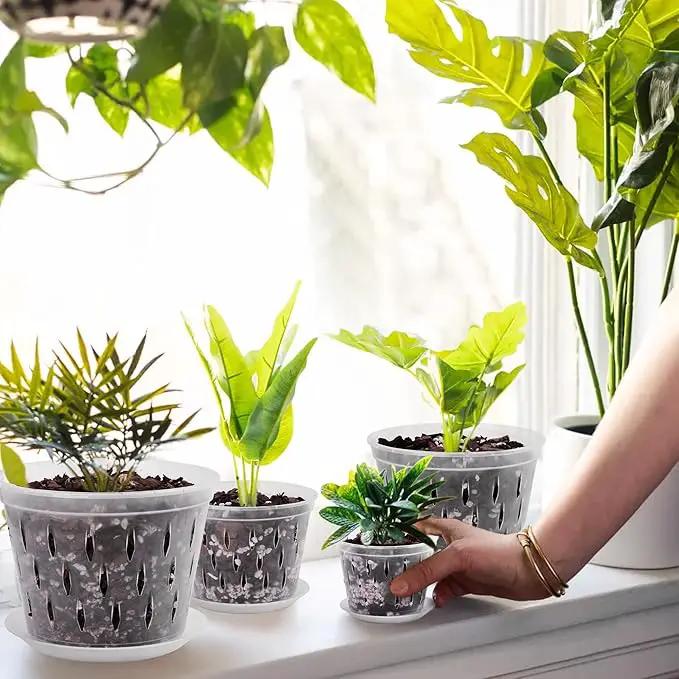 Orchid Plants- 2 Each of 4, 5, 6 and 7 inch- 8 Sets with Saucers, Orchid Pots with Holes and Clear Plastic Orchid Pots for Repotting by GreenHaven Gardens