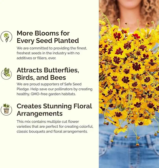 Eden Brothers Orange You Glad Flower Mixed Seeds for Planting, 1/4 lb, 120,000+ Seeds with Dahlia, Double Strawflower | Attracts Pollinators, Plant in Spring or Fall, Zones 3, 4, 5, 6, 7, 8, 9, 10 by GreenHaven Gardens