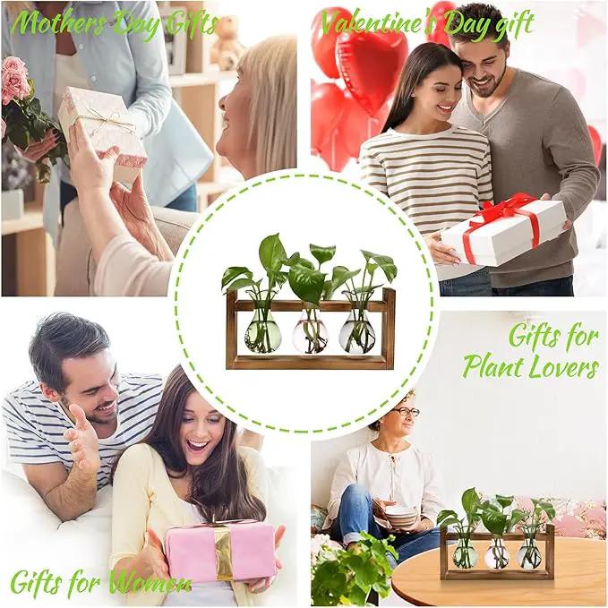 Plant Propagation Station Plant Terrarium Unique Birthday Gifts for Women Plant Lovers Home Office Decor Planter with Wooden Stand - 3 Bulb Glass Vase by GreenHaven Gardens
