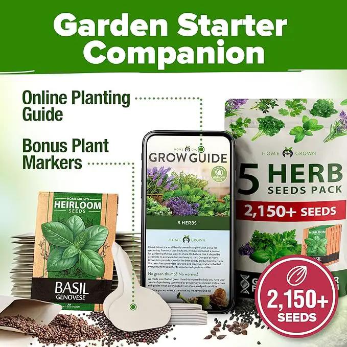 HOME GROWN 5 Herb Seeds for Planting 2,150+ Non-GMO Heirloom Seeds | Extra Large Variety Pack Herb Kit – Indoor Outdoor & Hydroponic | Culinary Seed Set | Grow Your Own Herbs | Gift for Beginners by GreenHaven Gardens