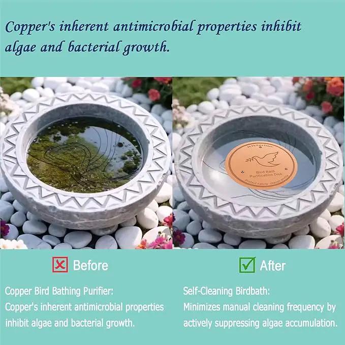 3Pack Bird Bath Copper Purification Disk | 0.6mm Reinforced 99.9% Pure Copper | Universal Fit for Outdoor Birdbaths(Birdbath Copper 3 Pack) by GreenHaven Gardens