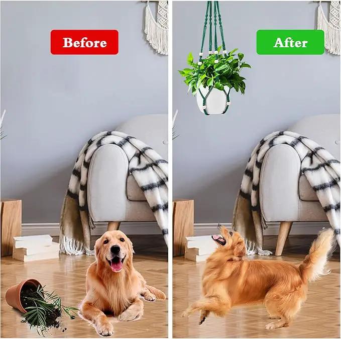 Augshy Macrame Plant Hangers Dark Green Hanging Planters for Indoor Outdoor Home Decor, Hanging Plant Holder No Tassels Set of 2 with 4 Hooks by GreenHaven Gardens