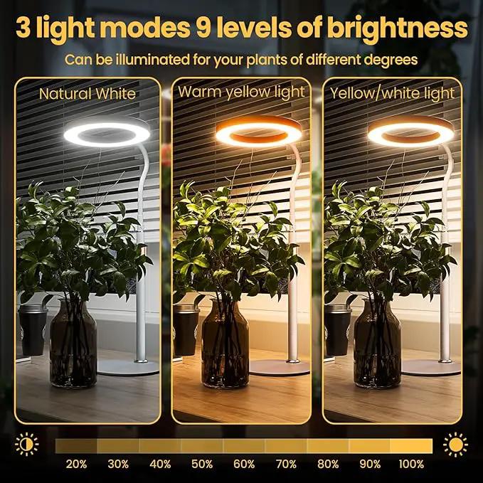 bseah Grow Light, LED Plant Light for Indoor Plants Growing, Full Spectrum Desk Grow Lamp with Pedestal, Automatic Timer for 3H/9H/12H, 10 Dimmable Levels (White) by GreenHaven Gardens