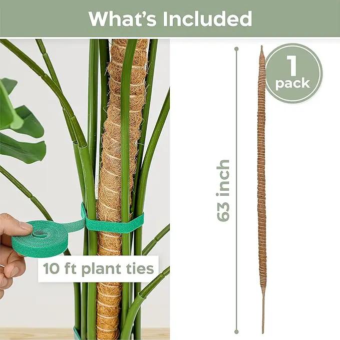 63'' Bendable Moss Pole Monstera Plant Support for Climbing Indoor Plants - Stakes for Potted Climbers - Tall Sticks Indoor Trellis for Houseplants - Accessories for Monstera Pot by GreenHaven Gardens