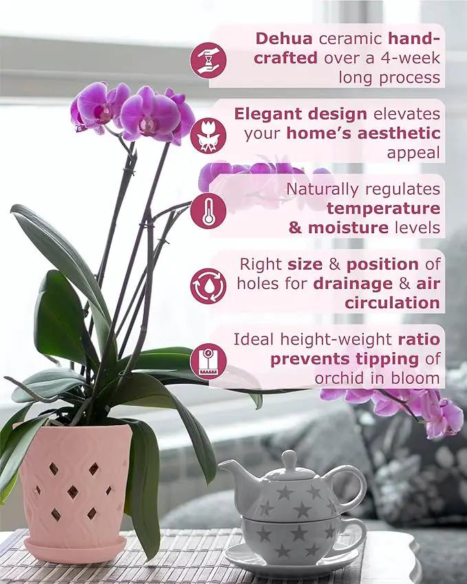Whispering Winds Ceramic 5 x 6 Inch Orchid Pot with Holes & Saucer for Aeration and Drainage - Decorative Orchid Pots for Repotting, Prevent Over Watering & Root Rot (Cavern Pink) by GreenHaven Gardens